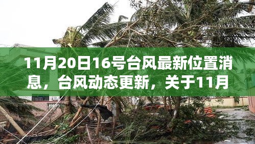 11月20日16号台风最新位置消息更新