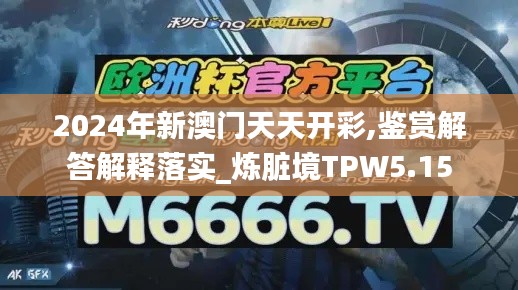 2024年新澳门天天开彩,鉴赏解答解释落实_炼脏境TPW5.15