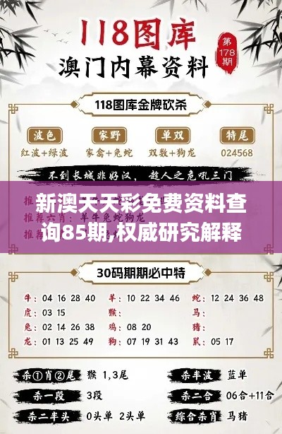 新澳天天彩免费资料查询85期,权威研究解释定义_神念境EOF2.35