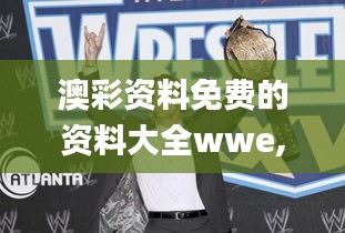 澳彩资料免费的资料大全wwe,实地考察数据分析_融合版IZQ6.11