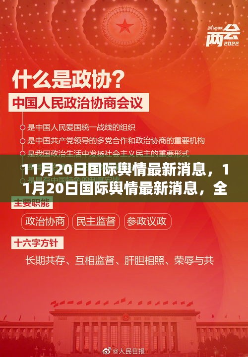 全球关注焦点解析，最新国际舆情消息速递（11月20日）