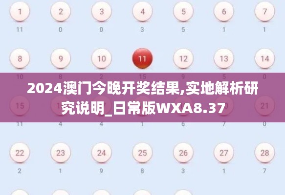 2024澳门今晚开奖结果,实地解析研究说明_日常版WXA8.37