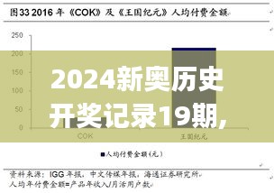 2024新奥历史开奖记录19期,细致研究执行方案_特别版UVM1.68