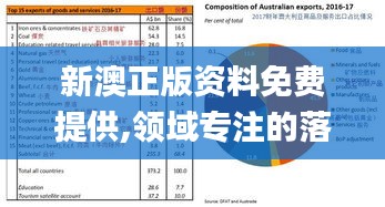 新澳正版资料免费提供,领域专注的落实分析_理想版VDI3.24