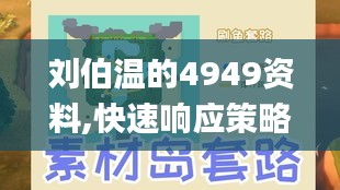 刘伯温的4949资料,快速响应策略方案_温馨版TFJ1.45