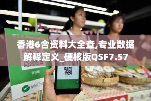 香港6合资料大全查,专业数据解释定义_硬核版QSF7.57