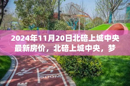 北碚上城中央房价揭秘，梦想与现实交汇的奇迹，学习变化，自信成就未来未来展望