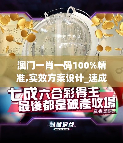 澳门一肖一码100%精准,实效方案设计_速成版HTB3.64