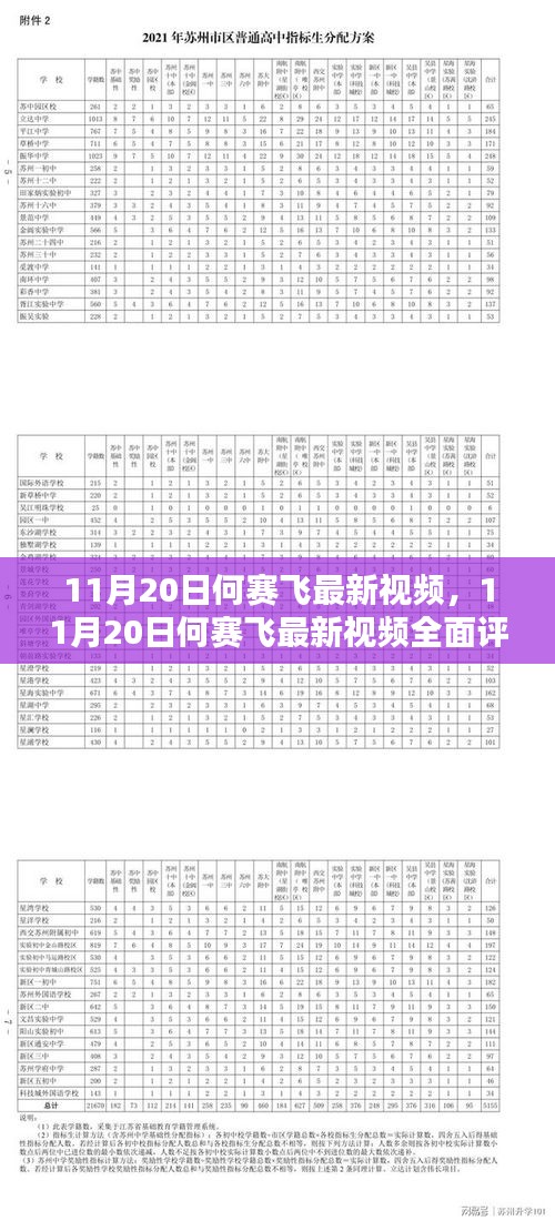 何赛飞最新视频评测与介绍，全面解读11月20日新作内容