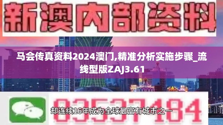 马会传真资料2024澳门,精准分析实施步骤_流线型版ZAJ3.61