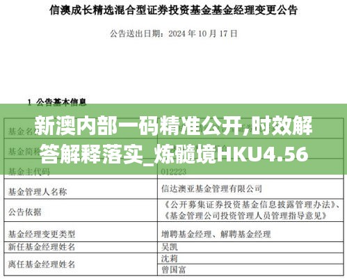 新澳内部一码精准公开,时效解答解释落实_炼髓境HKU4.56