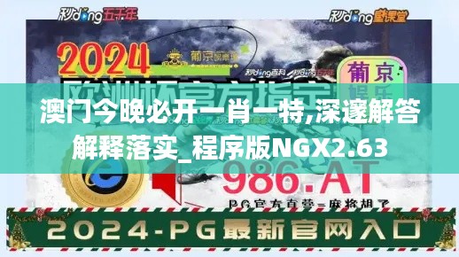 澳门今晚必开一肖一特,深邃解答解释落实_程序版NGX2.63