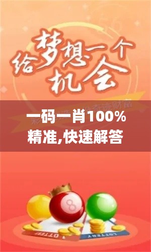 一码一肖100%精准,快速解答方案实践_简便版HVN2.13