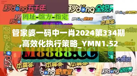 管家婆一码中一肖2024第334期,高效化执行策略_YMN1.52