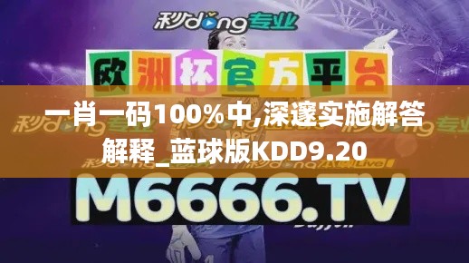 一肖一码100%中,深邃实施解答解释_蓝球版KDD9.20