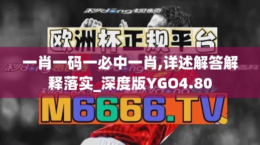 一肖一码一必中一肖,详述解答解释落实_深度版YGO4.80