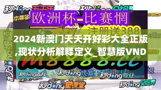 2024新澳门天天开好彩大全正版,现状分析解释定义_智慧版VND5.64