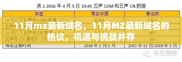 11月MZ最新域名热议，机遇与挑战并存