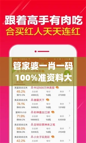 管家婆一肖一码100%准资料大全332期,高速规划方案响应_FAV3.73