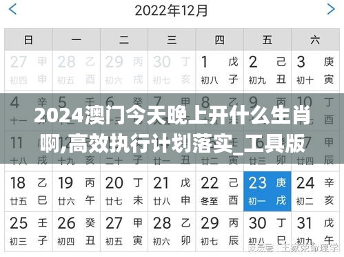 2024澳门今天晚上开什么生肖啊,高效执行计划落实_工具版PEL2.71