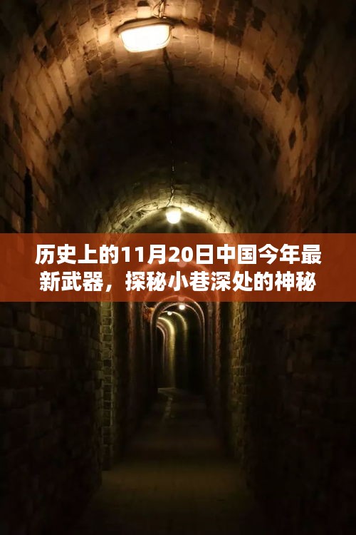 揭秘中国最新武器诞生地，神秘武器坊探秘，11月20日最新武器悉数登场