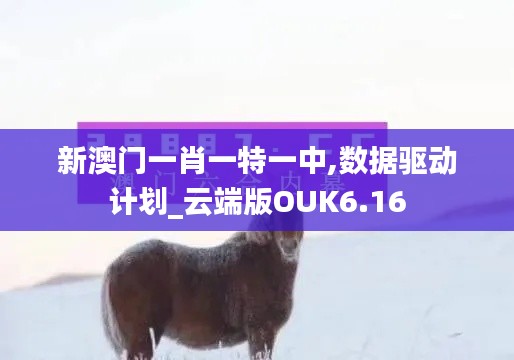 新澳门一肖一特一中,数据驱动计划_云端版OUK6.16