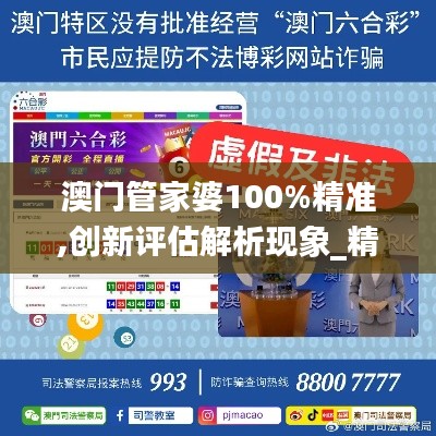 澳门管家婆100%精准,创新评估解析现象_精英版SSS1.53