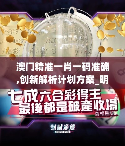 澳门精准一肖一码准确,创新解析计划方案_明星版YDZ8.12