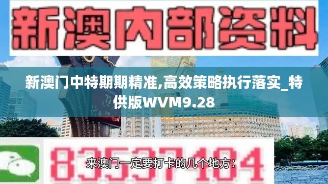 新澳门中特期期精准,高效策略执行落实_特供版WVM9.28