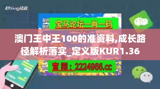 澳门王中王100的准资料,成长路径解析落实_定义版KUR1.36