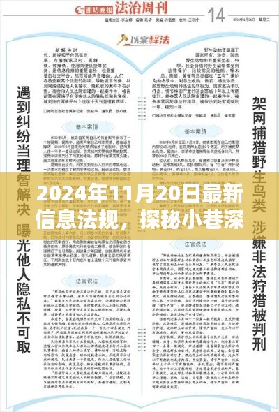 探秘小巷深处的法规新知与隐藏佳肴，信息法规的独特体验（2024年11月20日最新）