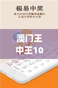 澳门王中王100%期期中一期,灵活性计划实施_影像版XHD5.62