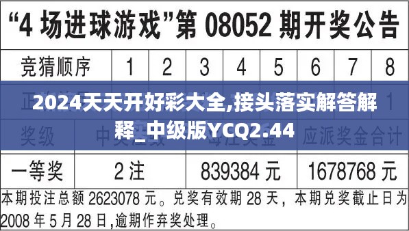 2024天天开好彩大全,接头落实解答解释_中级版YCQ2.44