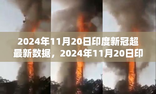 2024年11月20日印度新冠疫情最新数据解析与应对策略