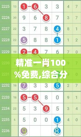 精准一肖100%免费,综合分析解释定义_解题版AVD2.30