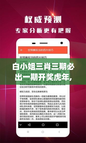 白小姐三肖三期必出一期开奖虎年,整体规划执行讲解_绝版ACC7.25