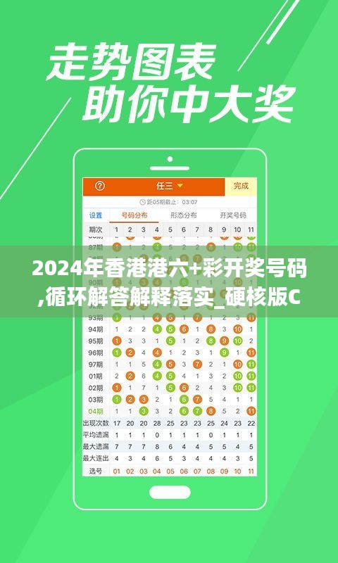 2024年香港港六+彩开奖号码,循环解答解释落实_硬核版CXP1.69