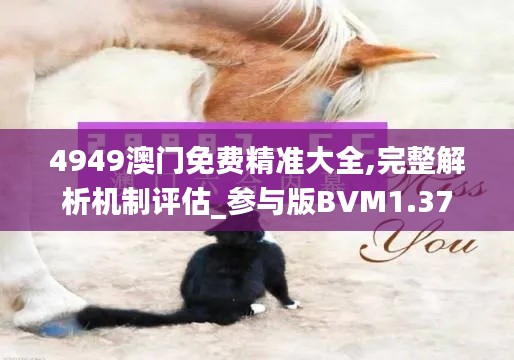 4949澳门免费精准大全,完整解析机制评估_参与版BVM1.37