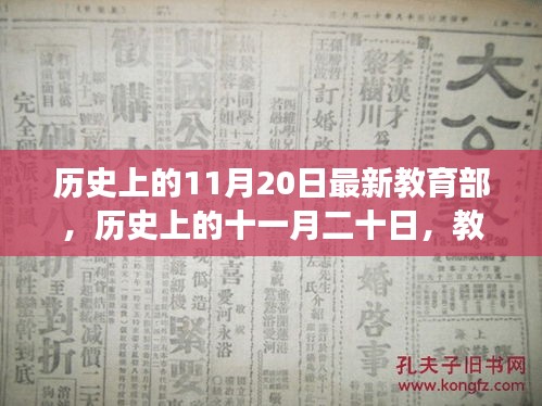 历史上的11月20日教育部最新政策深度解读与回顾