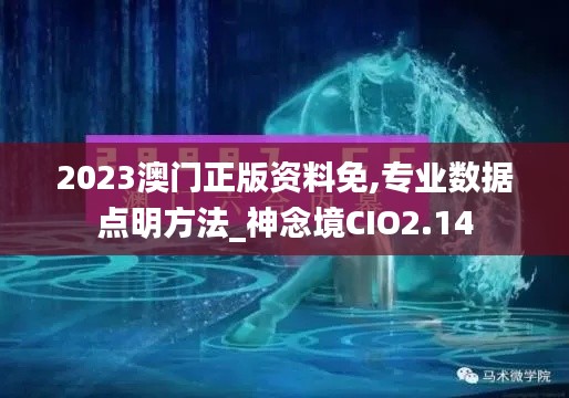 2023澳门正版资料免,专业数据点明方法_神念境CIO2.14