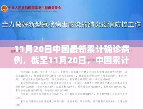 中国截至11月20日累计确诊病例深度分析报告