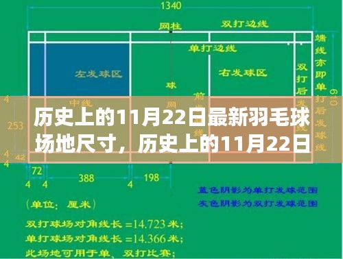 历史上的11月22日羽毛球场地尺寸深度解析与评测，最新场地尺寸悉数呈现与评估探讨