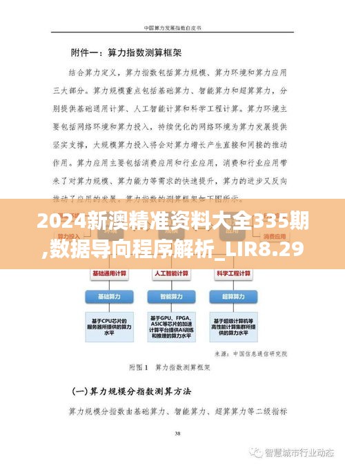 2024新澳精准资料大全335期,数据导向程序解析_LIR8.29