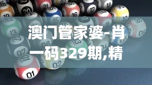 澳门管家婆-肖一码329期,精准解答解释落实_LNL5.15