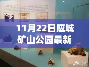 应城矿山公园最新动态报告，11月22日更新消息