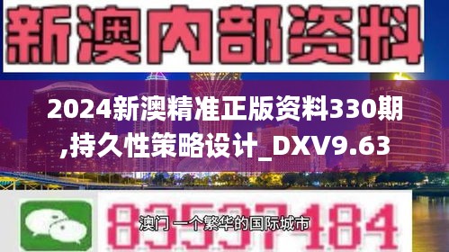 2024新澳精准正版资料330期,持久性策略设计_DXV9.63