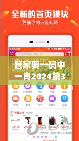 管家婆一码中一肖2024第335期,数量解答解释落实_BWS4.69