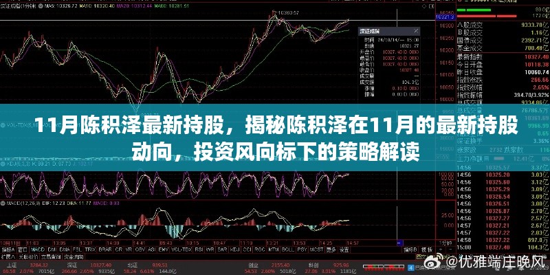 揭秘陈积泽11月最新持股动向，投资风向标下的策略解读