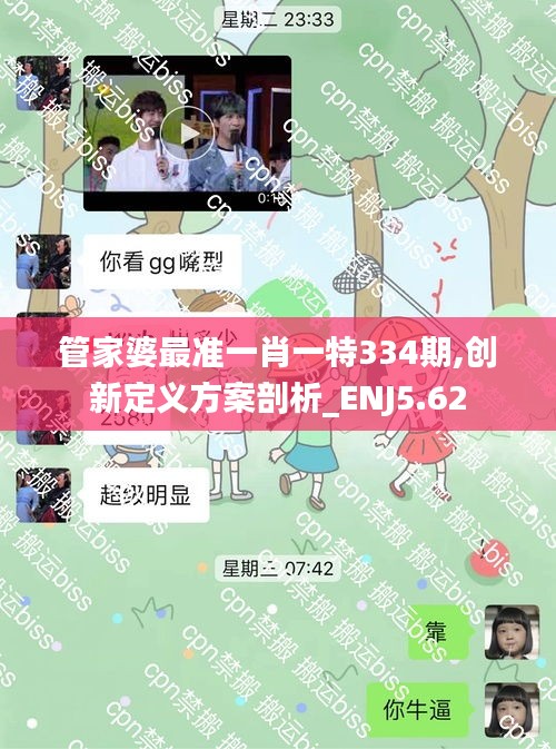 管家婆最准一肖一特334期,创新定义方案剖析_ENJ5.62