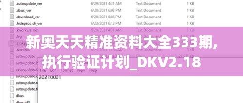 新奥天天精准资料大全333期,执行验证计划_DKV2.18